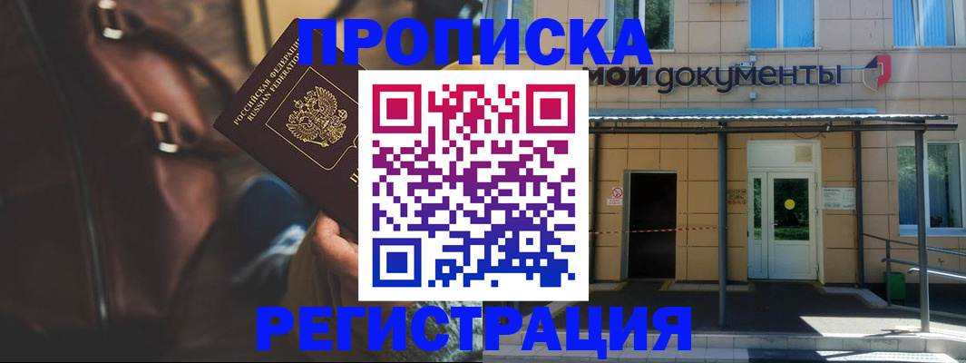 прописка законно в Коле